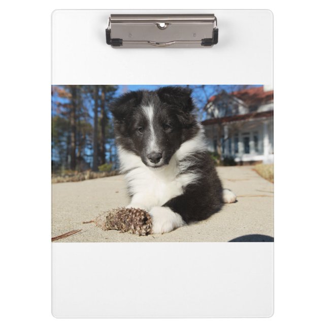 Carpeta De Pinza perrito blanco y negro de shap (Anverso)