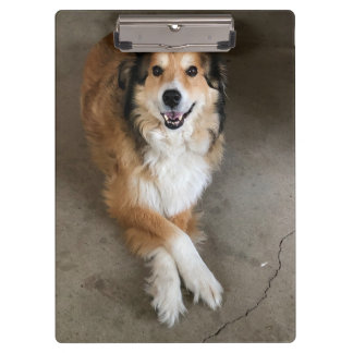 Carpeta De Pinza Perro