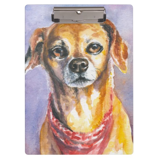 Carpeta De Pinza Perro 2 (Anverso)