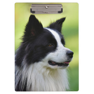 Carpeta De Pinza Perro Border Collie negro y blanco