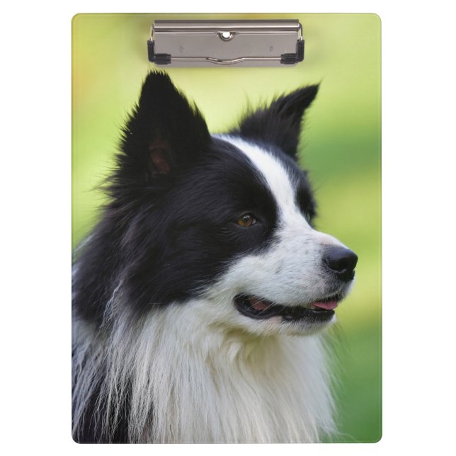 Carpeta De Pinza Perro Border Collie negro y blanco (Anverso)