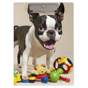 Carpeta De Pinza Perro de Boston Terrier jugando con juguetes