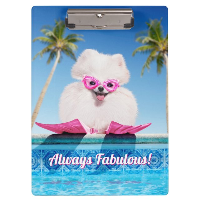 Carpeta De Pinza Perro De La Piscina En Los Flippers (Anverso)