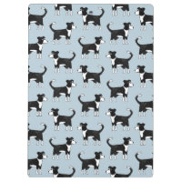 Perro de oveja collie de borde