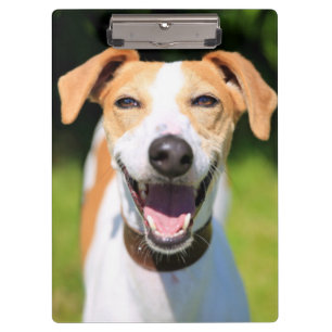Carpeta De Pinza Perro de risa de las imágenes el de Getty