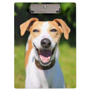 Carpeta De Pinza Perro de risa de las imágenes el   de Getty