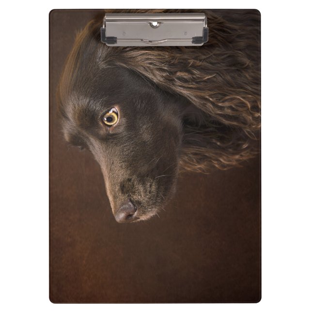 Carpeta De Pinza Perro moreno (Anverso)