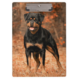 Carpeta De Pinza Perro porcino Rottweiler