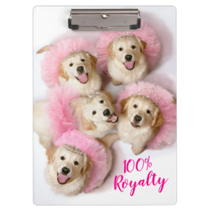 Carpeta De Pinza Perros princesos en Tiaras