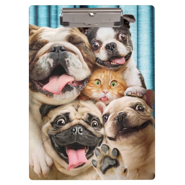 Carpeta De Pinza Perros y una foto de grupo de gatos (Anverso)