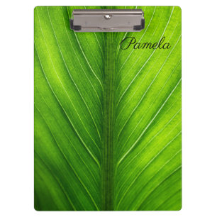 Carpeta De Pinza Personaliza la hermosa hoja verde