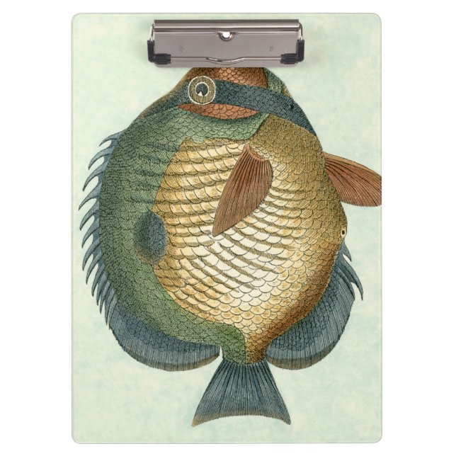 Carpeta De Pinza Pescado colorido grande (Anverso)