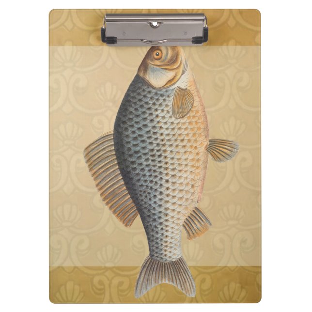 Carpeta De Pinza Pescado de carpa pescar pintura de agua dulce (Anverso)