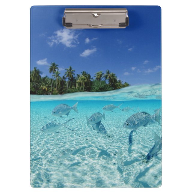 Carpeta De Pinza Pescados en el mar (Anverso)