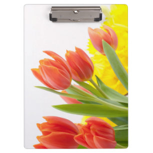 Carpeta De Pinza Pétalos de flor de tulipán Naranja Naturaleza Deco