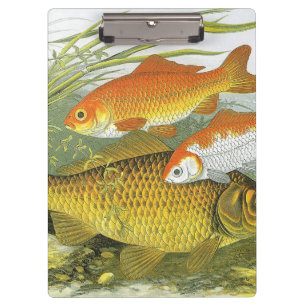 Carpeta De Pinza Pez Koi Goldfish, Vida Marina Acuática Antigua