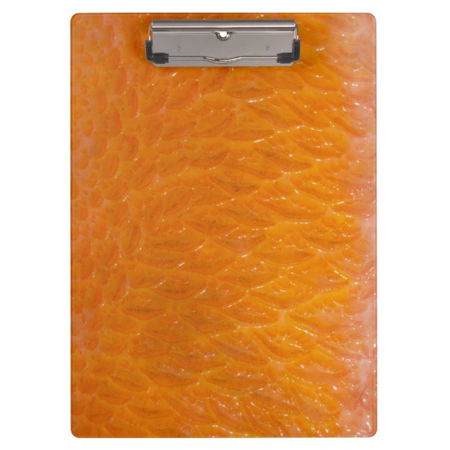 Carpeta De Pinza Piel de Rockfish (Anverso)