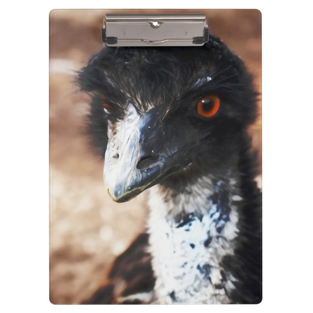 Carpeta De Pinza Piercing Eyes of the Outback (Anverso)