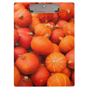 Carpeta De Pinza Pila de calabazas pequeñas, Alemania