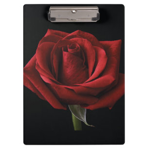 Carpeta De Pinza Pilar de lanzamiento de rosa roja