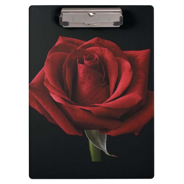 Carpeta De Pinza Pilar de lanzamiento de rosa roja (Anverso)