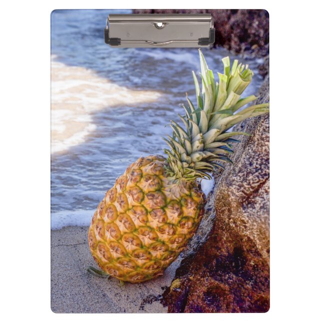 Carpeta De Pinza Piña inclinada sobre rocas en la playa (Anverso)