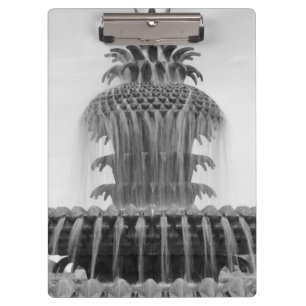 Carpeta De Pinza Piña tranquilizante