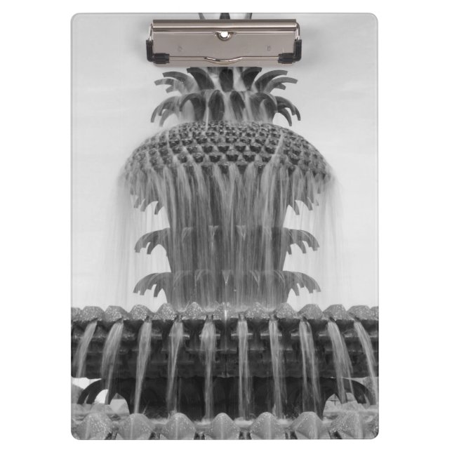 Carpeta De Pinza Piña tranquilizante (Anverso)