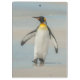 Carpeta De Pinza Pingüino que camina en la playa (Reverso)
