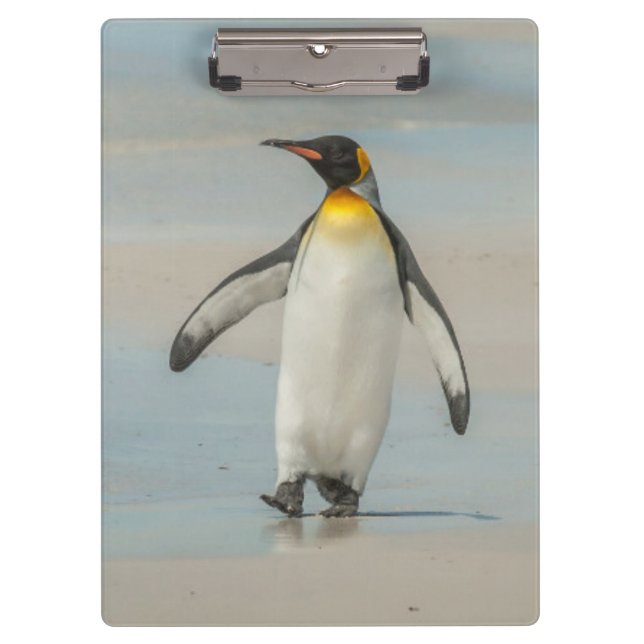 Carpeta De Pinza Pingüino que camina en la playa (Anverso)