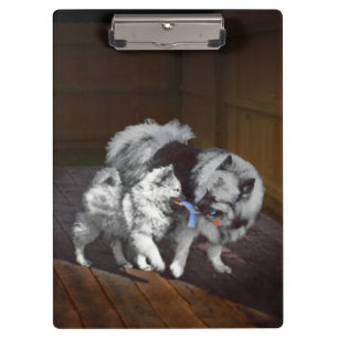 Carpeta De Pinza Pintado Keeshond Playtime - Arte Perro Original.