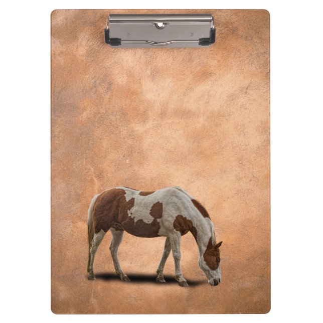 CARPETA DE PINZA PINTE EL CABALLO (Anverso)