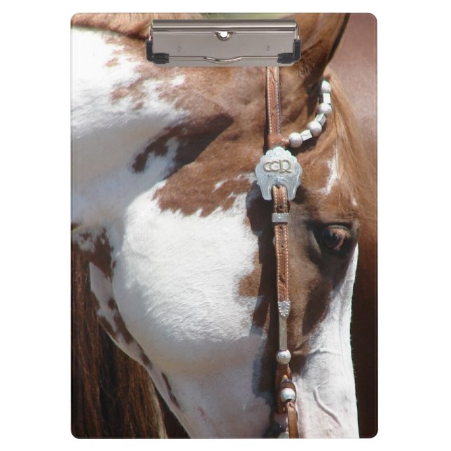 Carpeta De Pinza Pinto Occidental (Anverso)