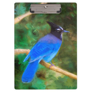 Carpeta De Pinza Pintura de Jay de Steller - Arte de pájaro origina