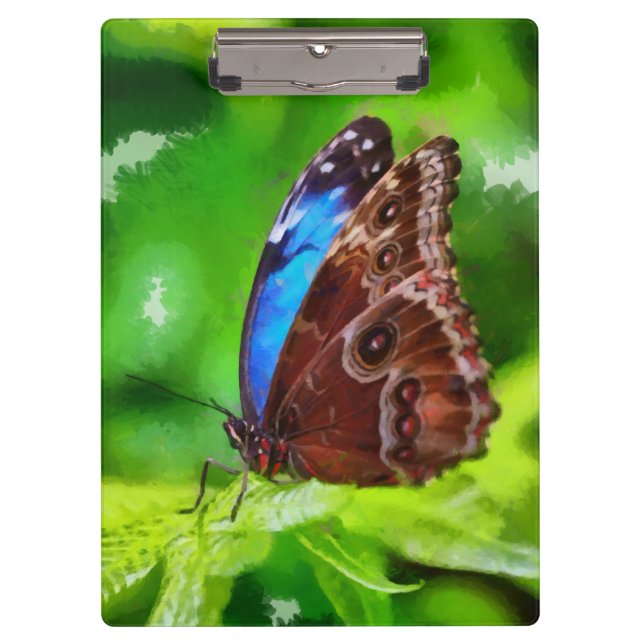 Carpeta De Pinza Pintura de mariposa (Anverso)