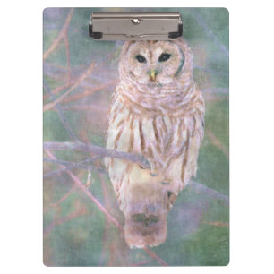 Carpeta De Pinza Pintura digital de Oleílla de Lechuza Barrada Past