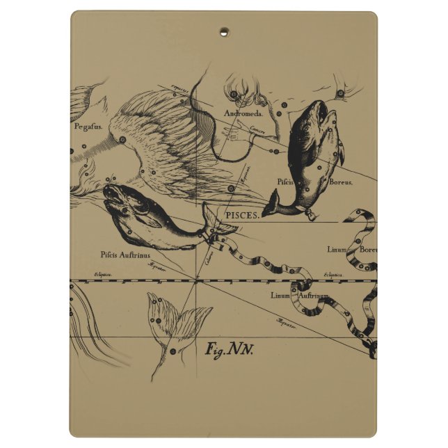 Carpeta De Pinza Pisces Constellation Hevelius alrededor de 1690 (Reverso)