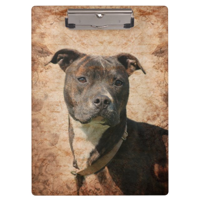 Carpeta De Pinza Pitbull Brindle (Anverso)