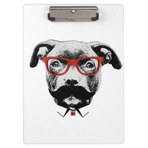 Carpeta De Pinza Pitbull Terrier del inconformista