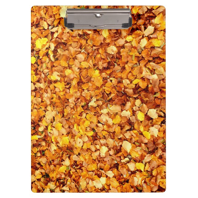 Carpeta De Pinza Placa Clip de hojas de otoño (Anverso)