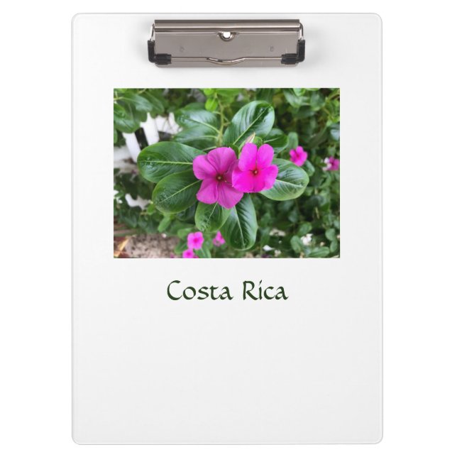 Carpeta De Pinza Planeador de flores moradas de Costa Rica (Anverso)