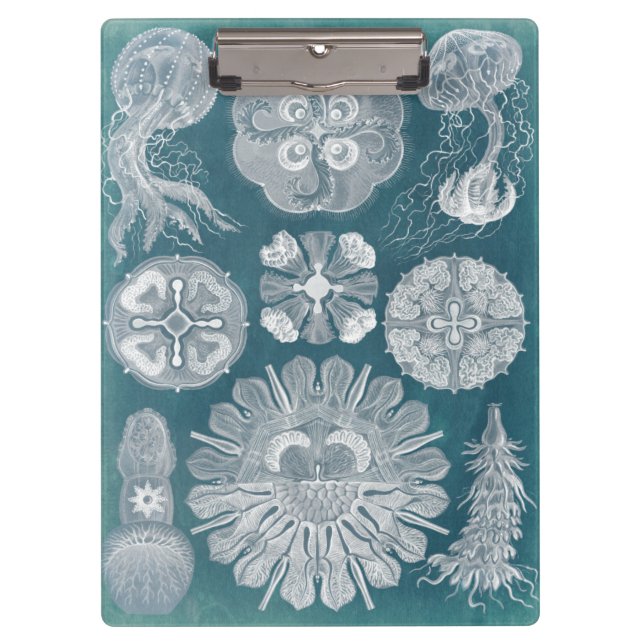 Carpeta De Pinza Plano Azul marino IV (Anverso)