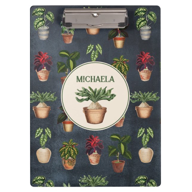 Carpeta De Pinza Plantas de acuarela Protegidas Terracotta Pots Rús (Anverso)