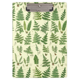 Carpeta De Pinza Plantas frondosas verdes del vintage