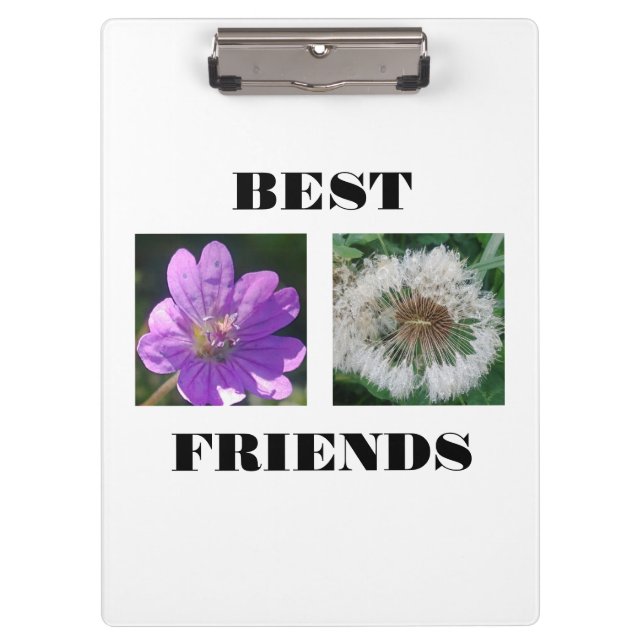 Carpeta De Pinza Plantilla de imagen de los mejores amigos (Anverso)