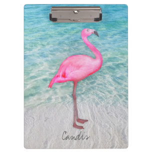Carpeta De Pinza Playa de Sandy tropical del flamenco rosado de