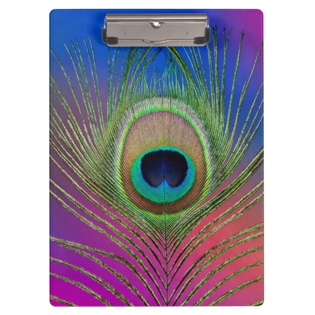 Carpeta De Pinza Pluma de cola de un pavo real (Anverso)