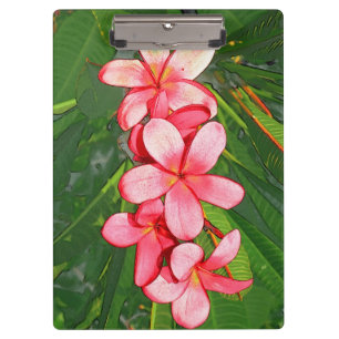 Carpeta De Pinza Plumerias