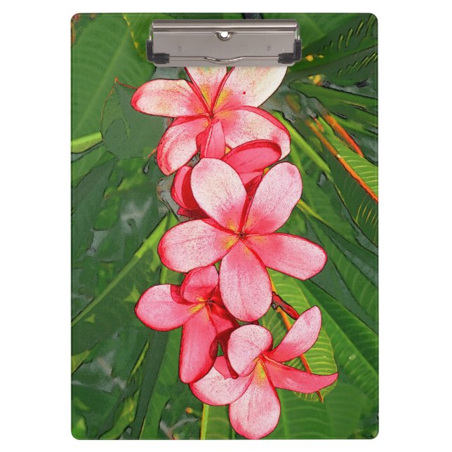 Carpeta De Pinza Plumerias (Anverso)