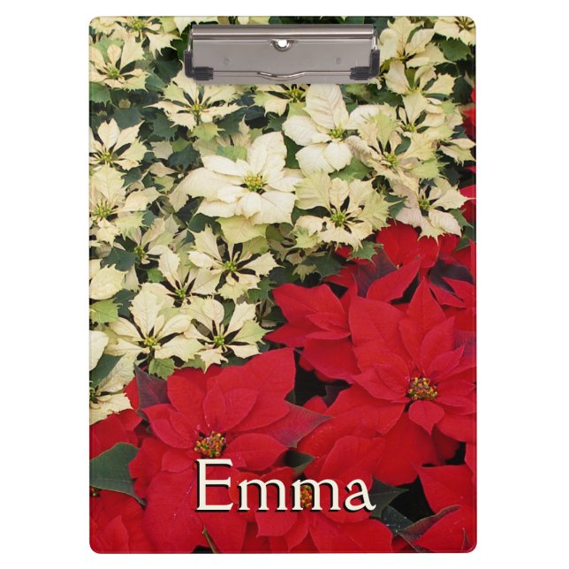 Carpeta De Pinza Poinsettias blancas y rojas con flores (Anverso)